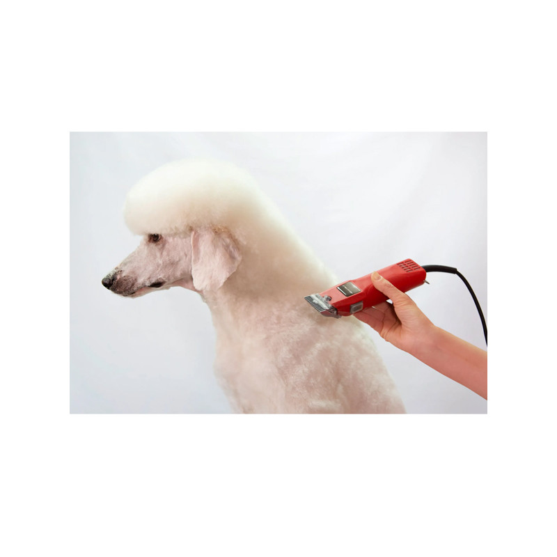 Tondeuse Favorita II Aesculap