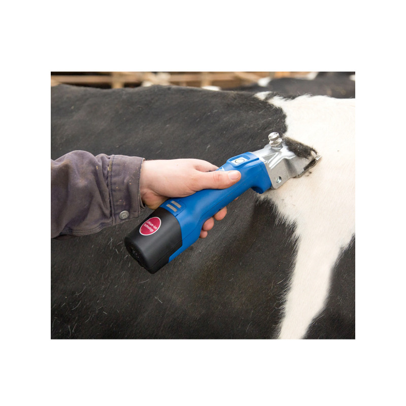 Tondeuse sur batterie Econom CL Aesculap