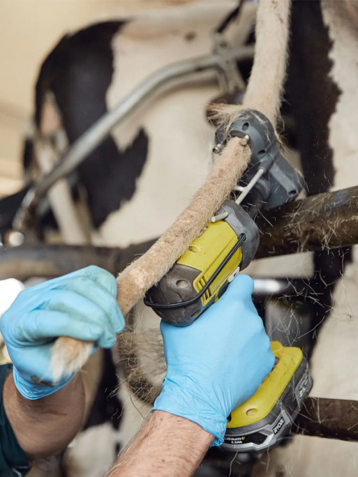 Tondeuse pour queue de vache standard II TailWell