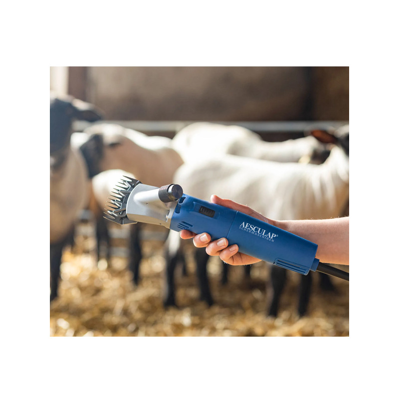 Tondeuse Econom Nova ovins 230V Aesculap
