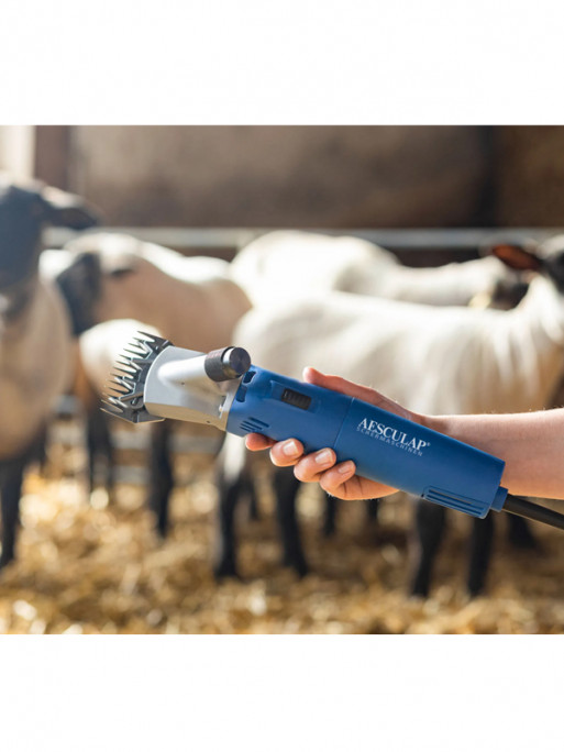 Tondeuse Econom Nova ovins 230V Aesculap