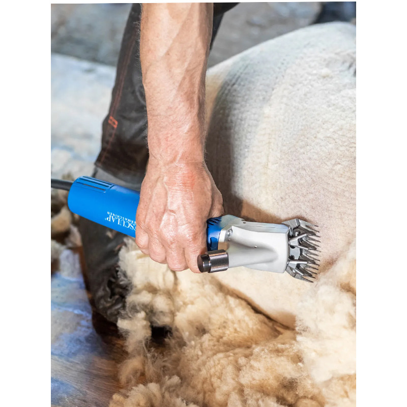 Tondeuse Econom Nova ovins 230V Aesculap