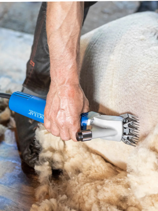 Tondeuse Econom Nova ovins 230V Aesculap