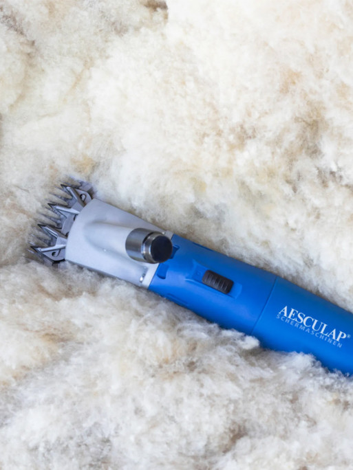 Tondeuse Econom Nova ovins 230V Aesculap