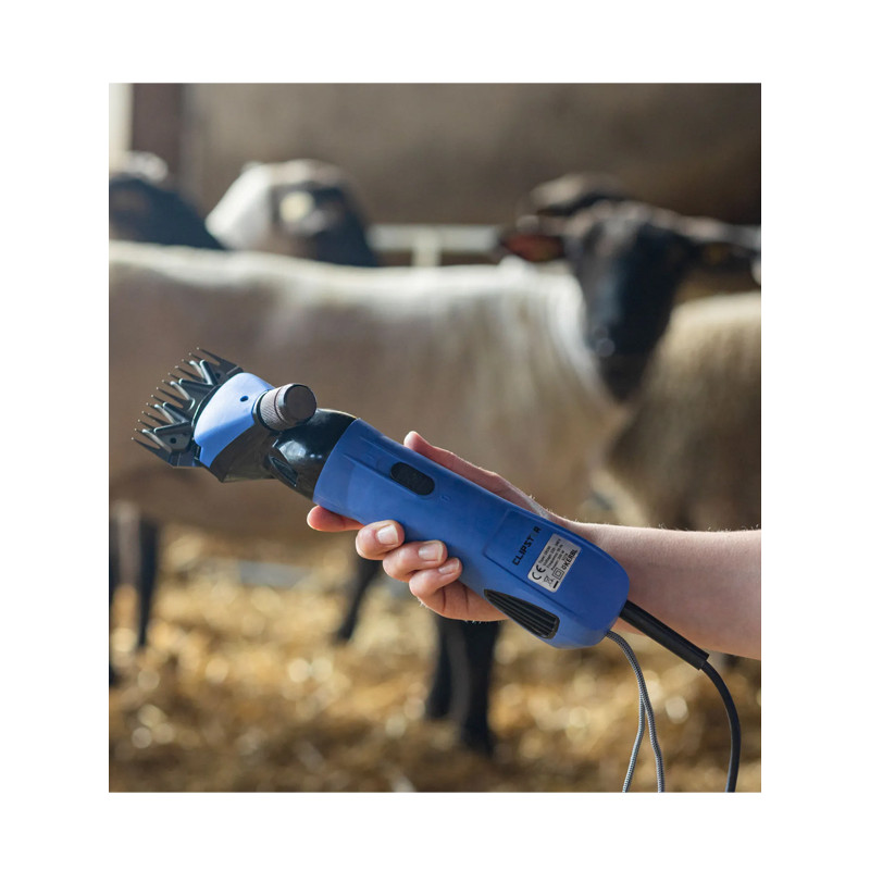 Tondeuse ovins 200W Kerbl