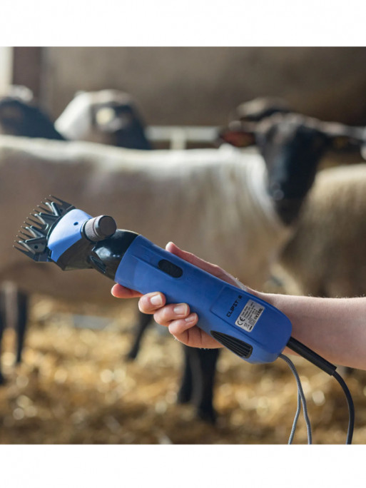 Tondeuse ovins 200W Kerbl