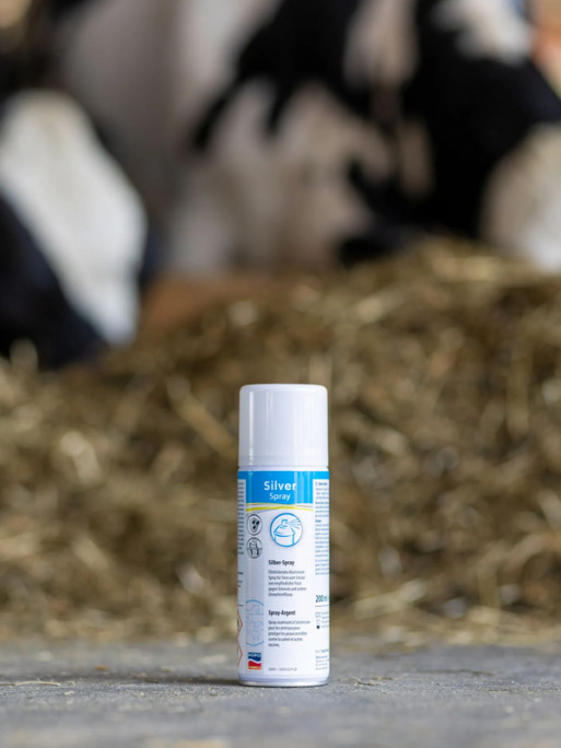 Spray aérosol Silver 200ml Agrochemica