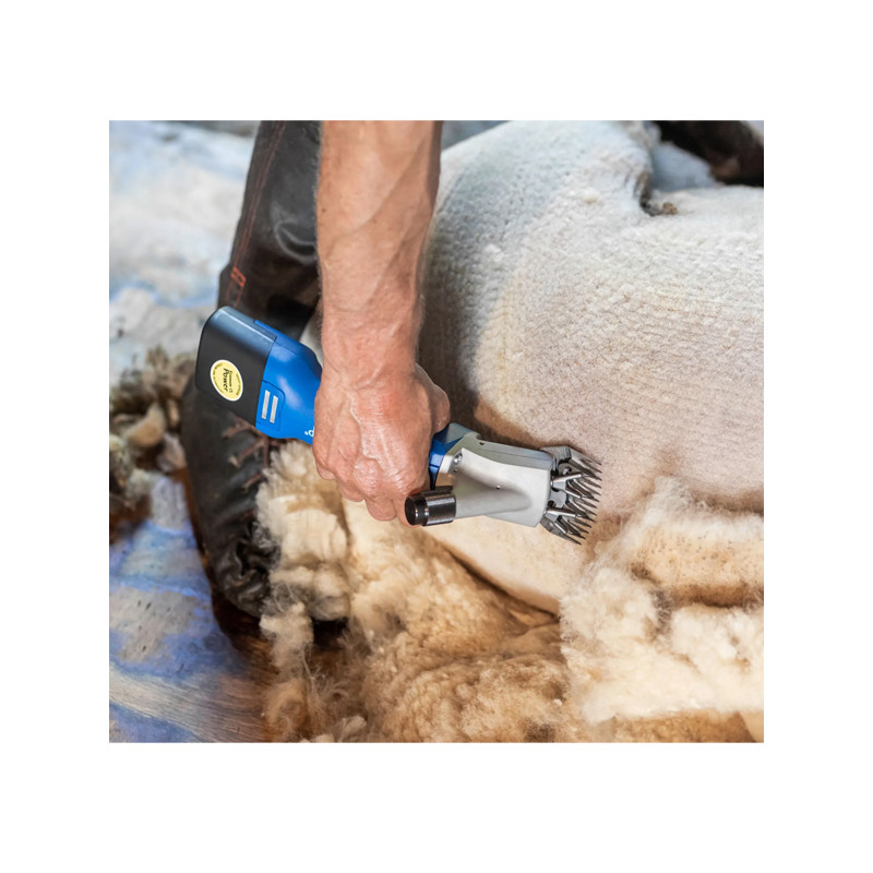 Tondeuse ovins Econom Nova CL 1 batterie Aesculap