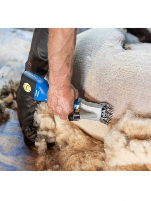 Tondeuse ovins Econom Nova CL 1 batterie Aesculap