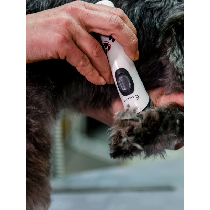 Tondeuse sur batterie Exacta Aesculap