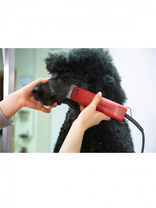 Tondeuse sur secteur SnapOn Fav5 Aesculap