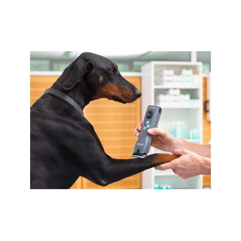 Tondeuse sur batterie Libra Aesculap