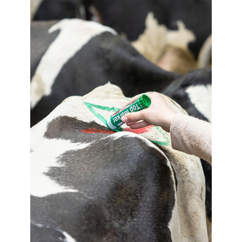 Crayon marqueur 60ml TopMarker