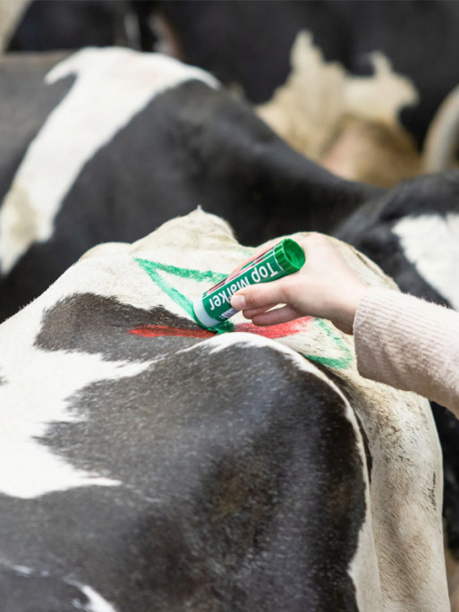 Crayon marqueur 60ml TopMarker