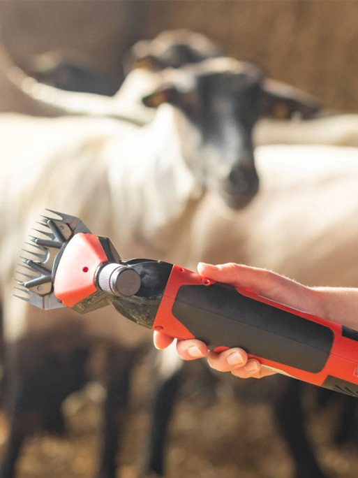 Tondeuse ovins Farmclipper Profi