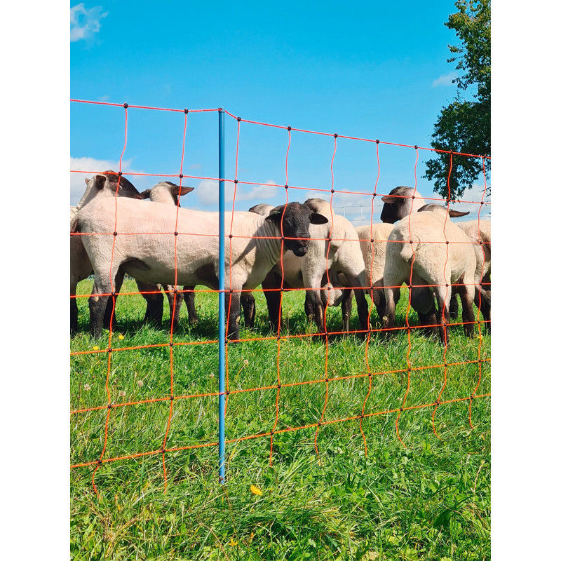 Filet OviNet Premium AKO