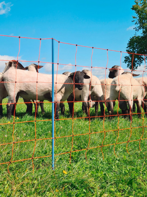 Filet OviNet Premium AKO