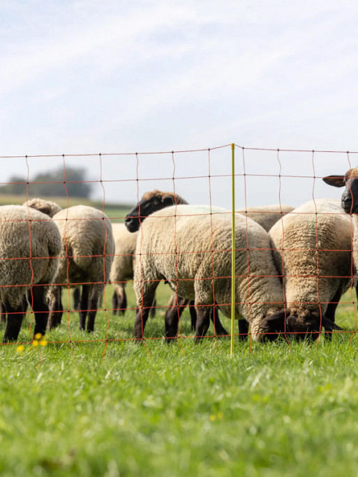 Filet ClassicNet Kerbl