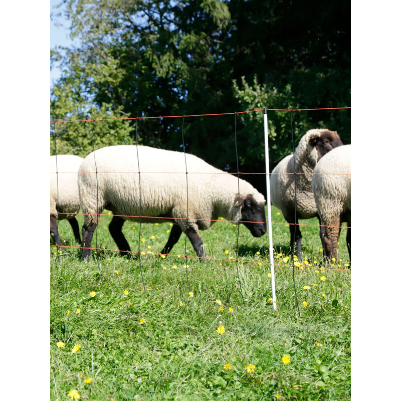 Filet TitanLight Net Kerbl