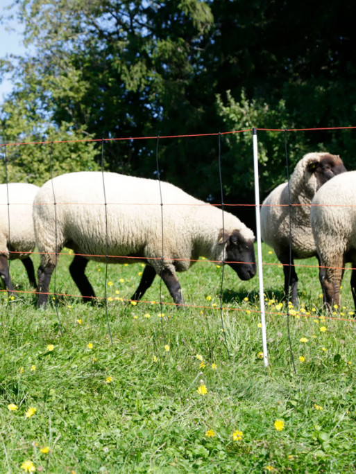 Filet TitanLight Net Kerbl