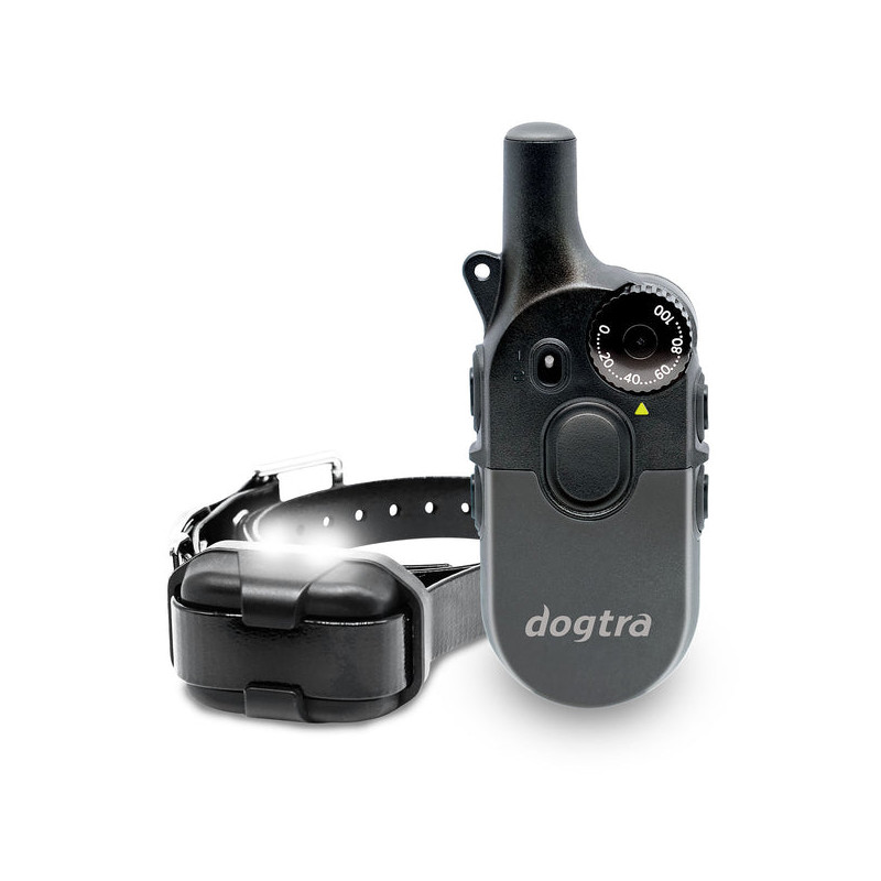 Pack de dressage 600iQ Dogtra