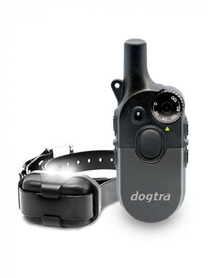 Pack de dressage 600iQ Dogtra