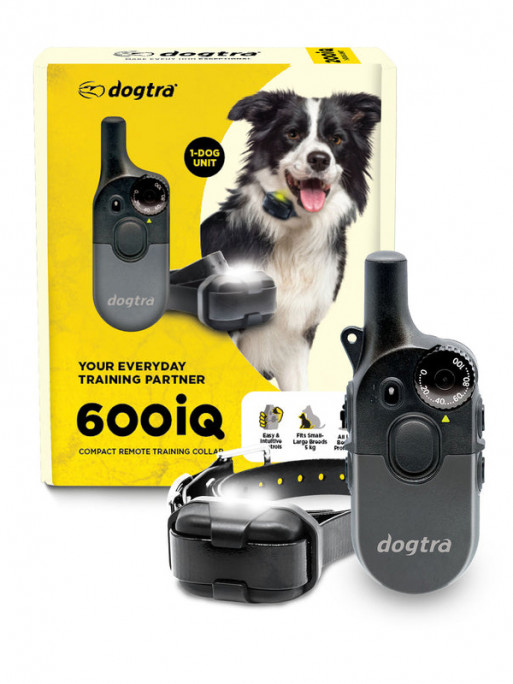 Pack de dressage 600iQ Dogtra