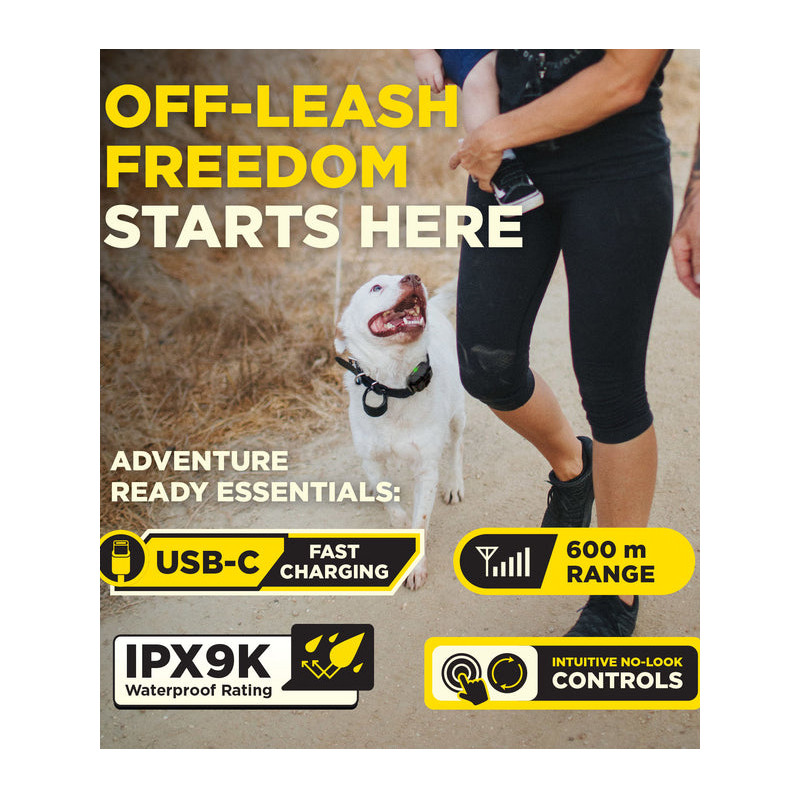 Pack de dressage 600iQ Dogtra