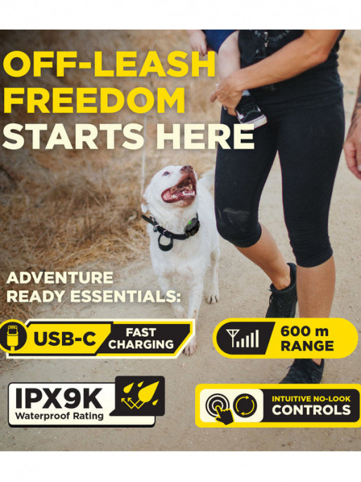 Pack de dressage 600iQ Dogtra