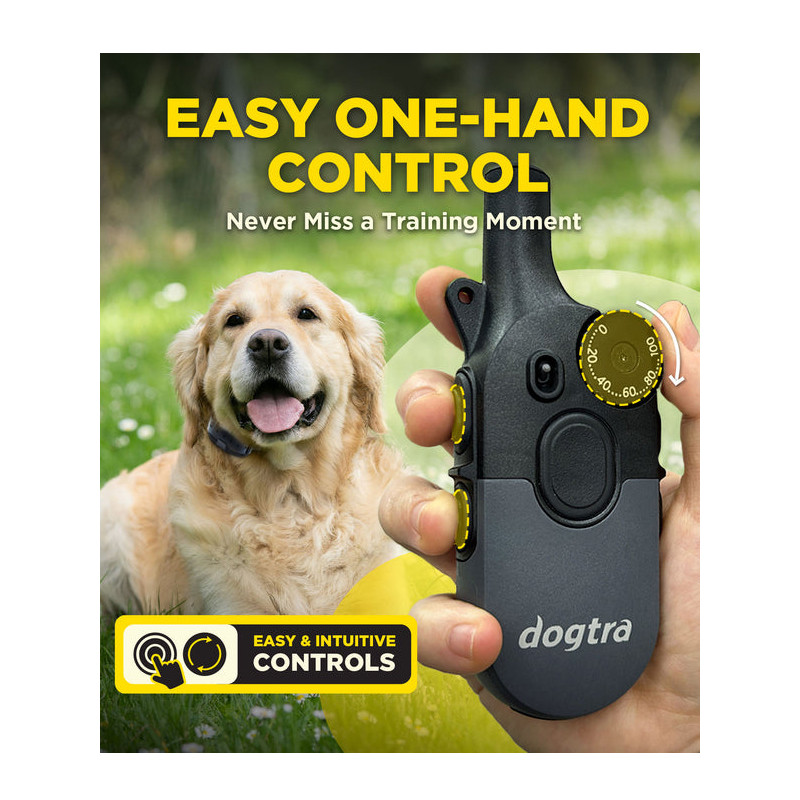 Pack de dressage 600iQ Dogtra