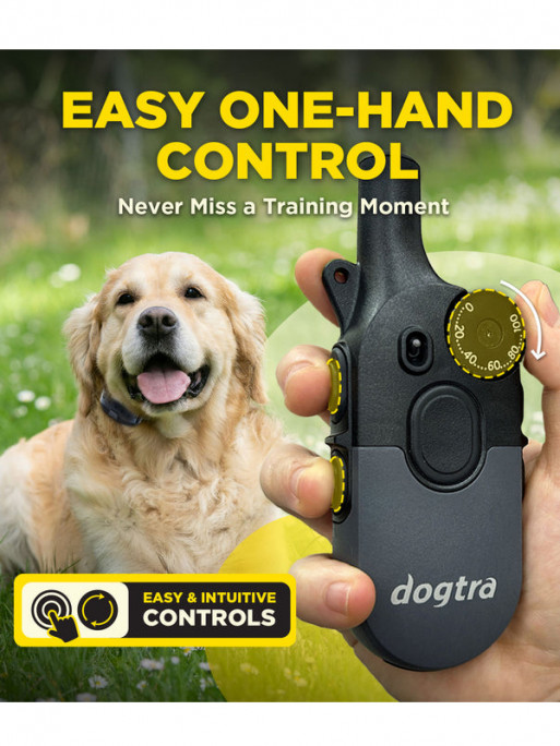 Pack de dressage 600iQ Dogtra