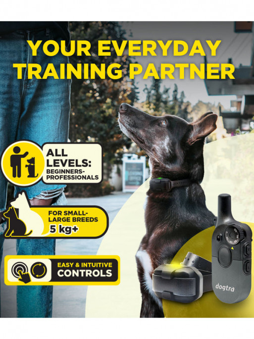 Pack de dressage 600iQ Dogtra