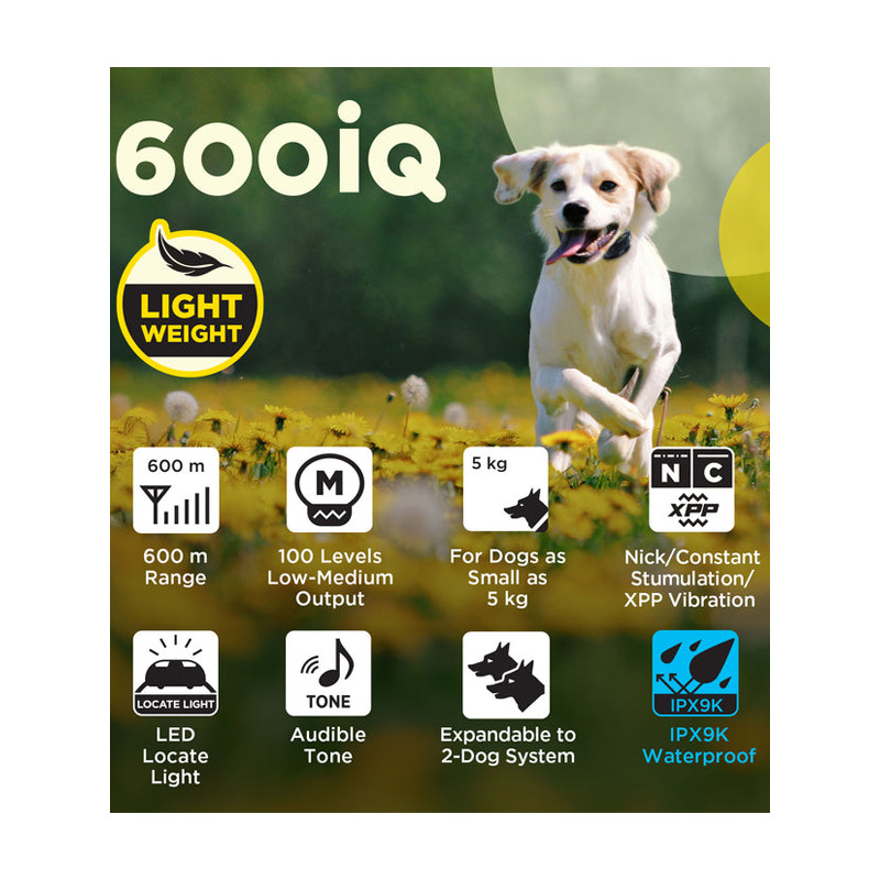 Pack de dressage 600iQ Dogtra
