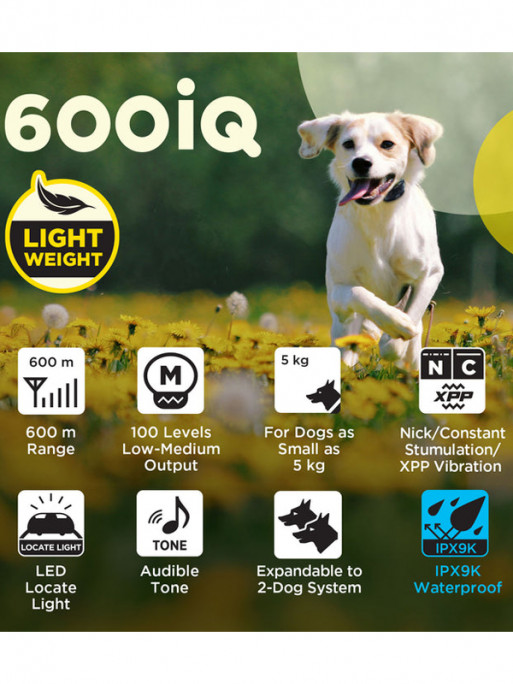 Pack de dressage 600iQ Dogtra