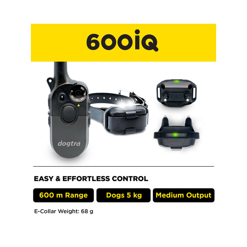 Pack de dressage 600iQ Dogtra