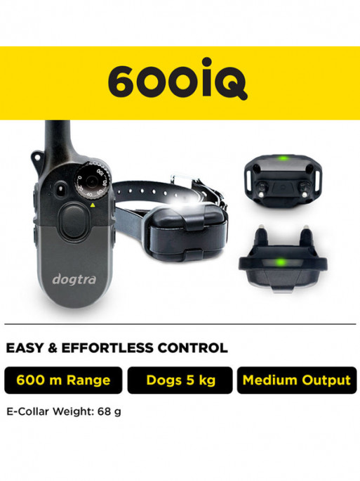 Pack de dressage 600iQ Dogtra