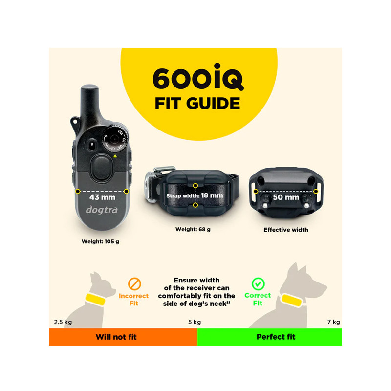 Pack de dressage 600iQ Dogtra
