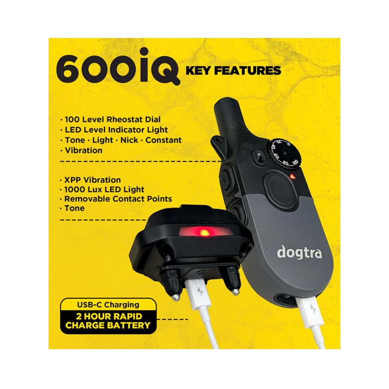 Pack de dressage 600iQ Dogtra