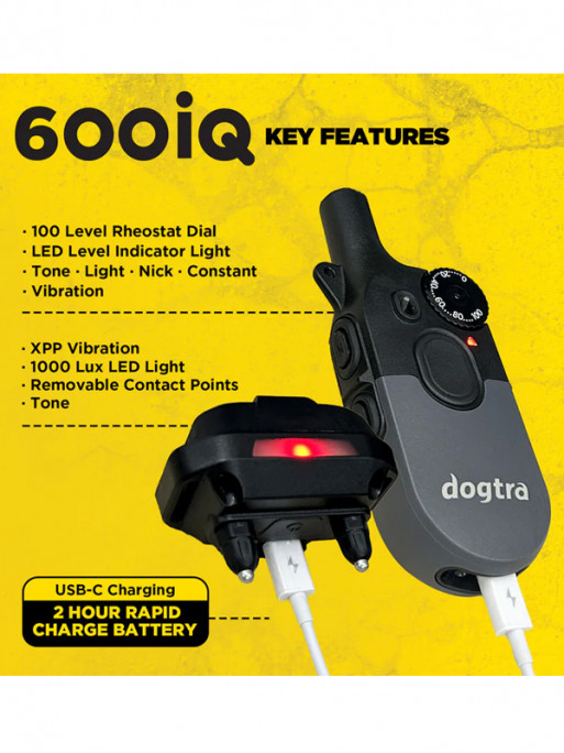 Pack de dressage 600iQ Dogtra