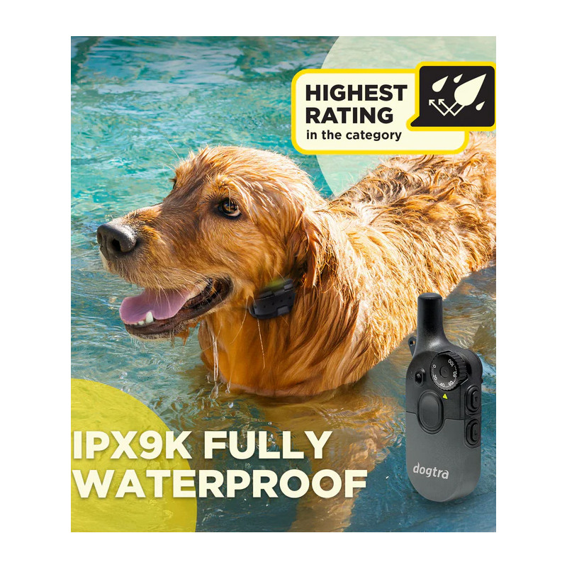 Pack de dressage 600iQ Dogtra