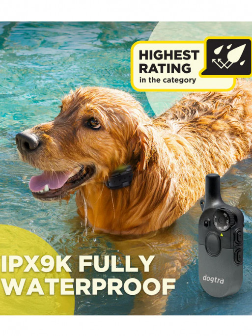 Pack de dressage 600iQ Dogtra