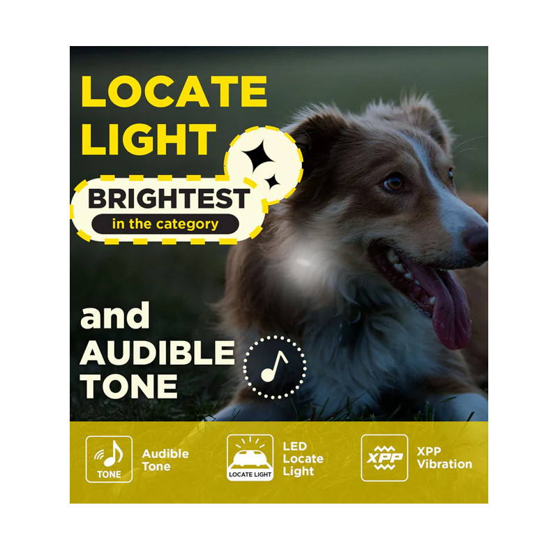 Pack de dressage 600iQ Dogtra