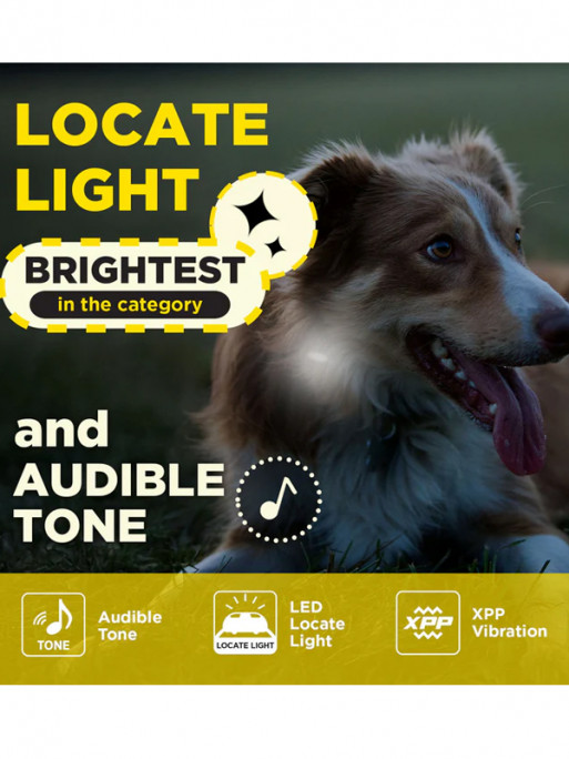 Pack de dressage 600iQ Dogtra