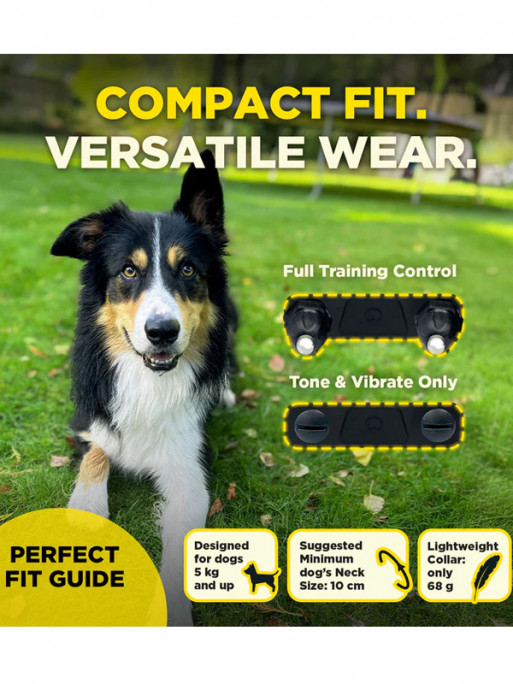 Pack de dressage 600iQ Dogtra