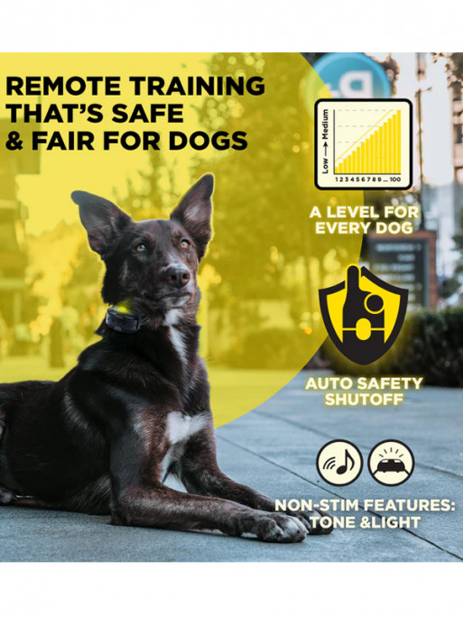 Pack de dressage 600iQ Dogtra