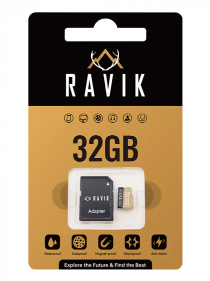 Carte mémoire SDHC Class 10 32Gb Ravik