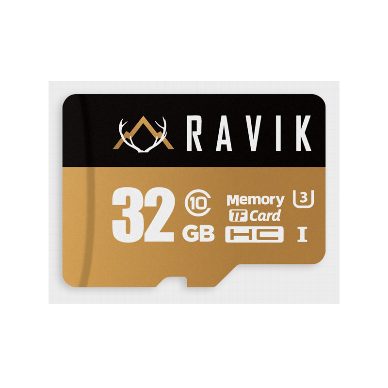 Carte mémoire SDHC Class 10 32Gb Ravik