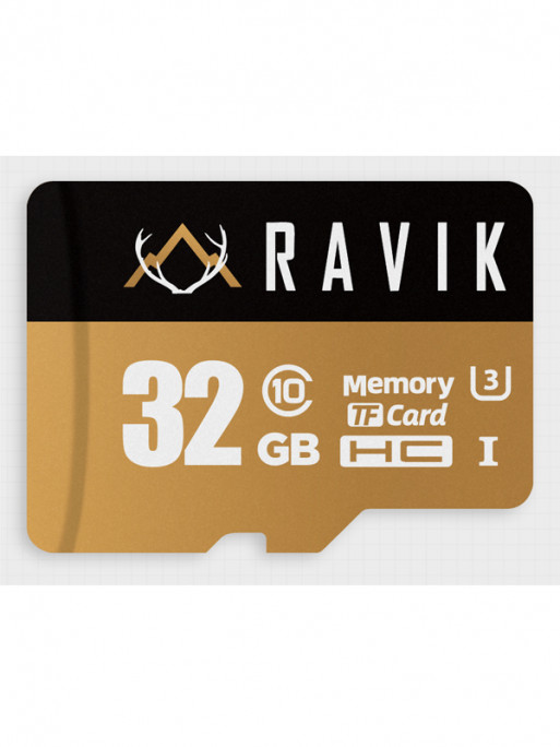 Carte mémoire SDHC Class 10 32Gb Ravik