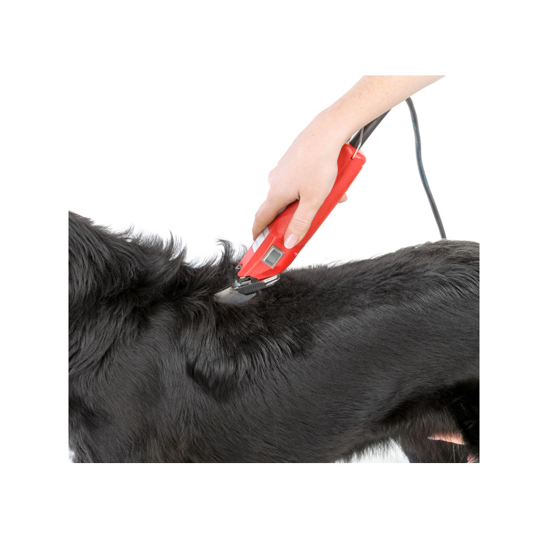 Tondeuse sur secteur Favorita Speed Aesculap