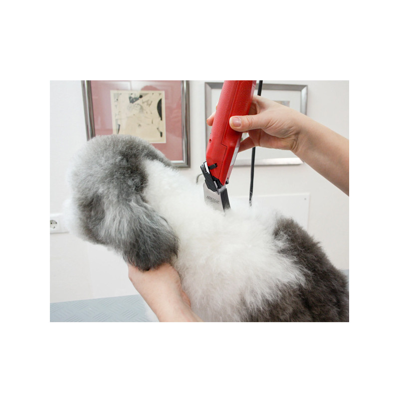 Tondeuse sur secteur Favorita Speed Aesculap